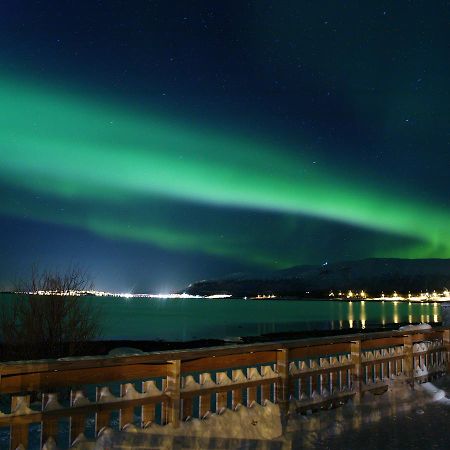 Vikran Vacation: Sea Fishing And Northern Lights Екстер'єр фото