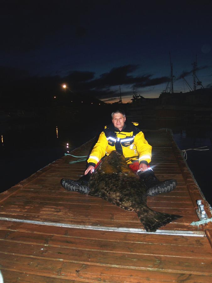Vikran Vacation: Sea Fishing And Northern Lights Екстер'єр фото