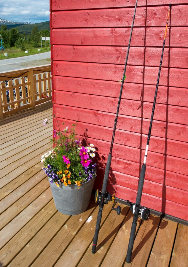 Vikran Vacation: Sea Fishing And Northern Lights Екстер'єр фото
