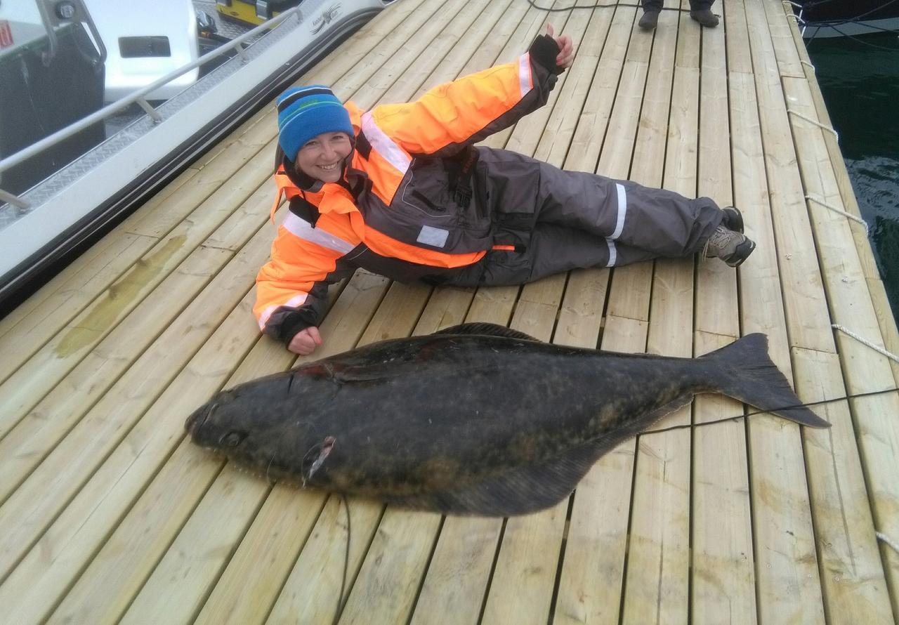 Vikran Vacation: Sea Fishing And Northern Lights Екстер'єр фото